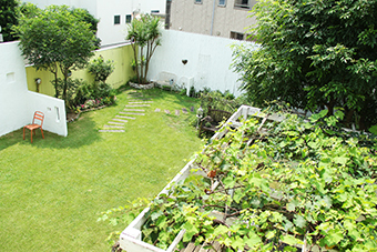 a0184348_16555326.jpg