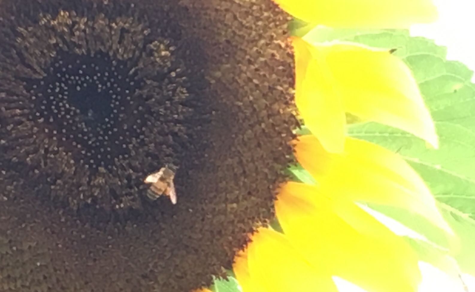 a0152454_13314503.jpeg