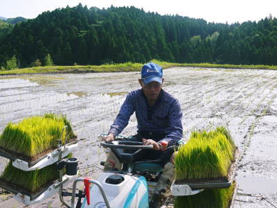 菊池水源棚田米　水にこだわる匠の米作り！今年も順調に成長中！田植え後の成長の様子（2023）　_a0254656_16442273.jpg