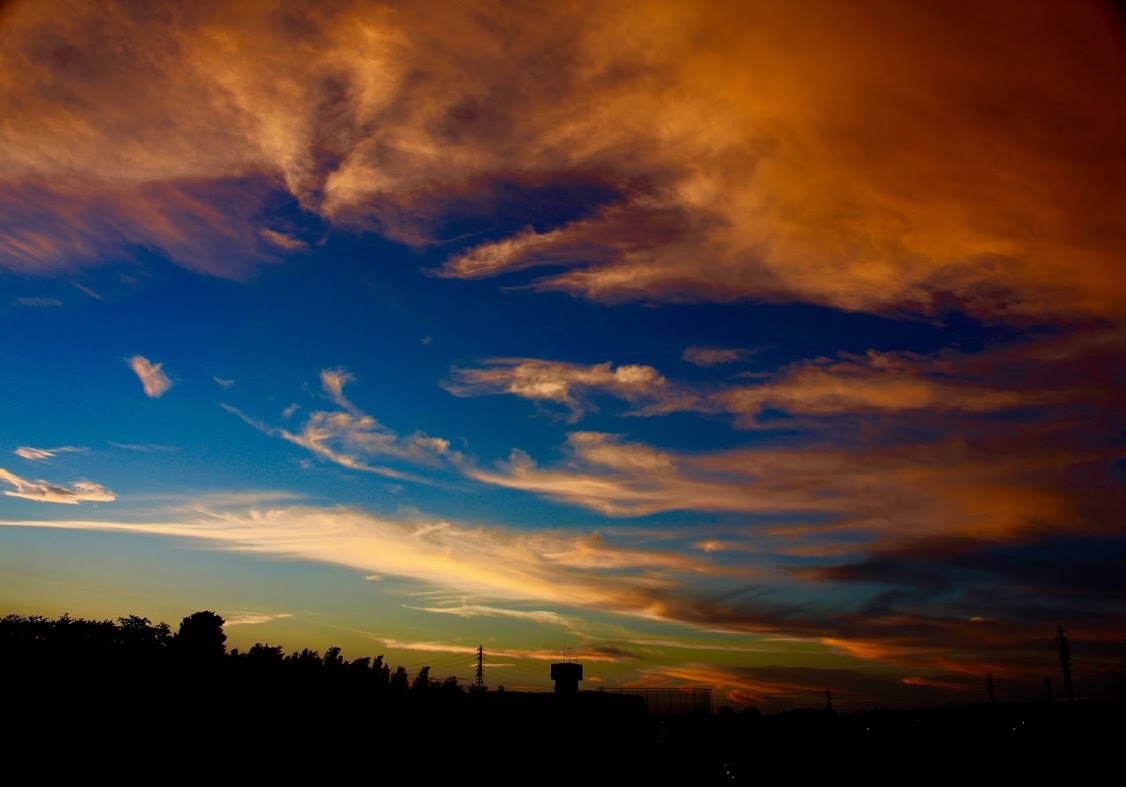 a0248459_15100898.jpg