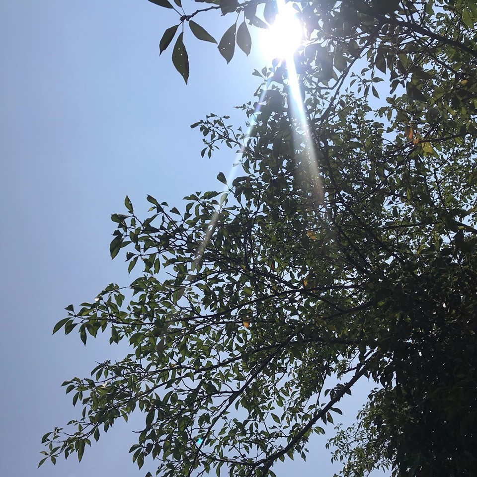 c0115560_11472265.jpg