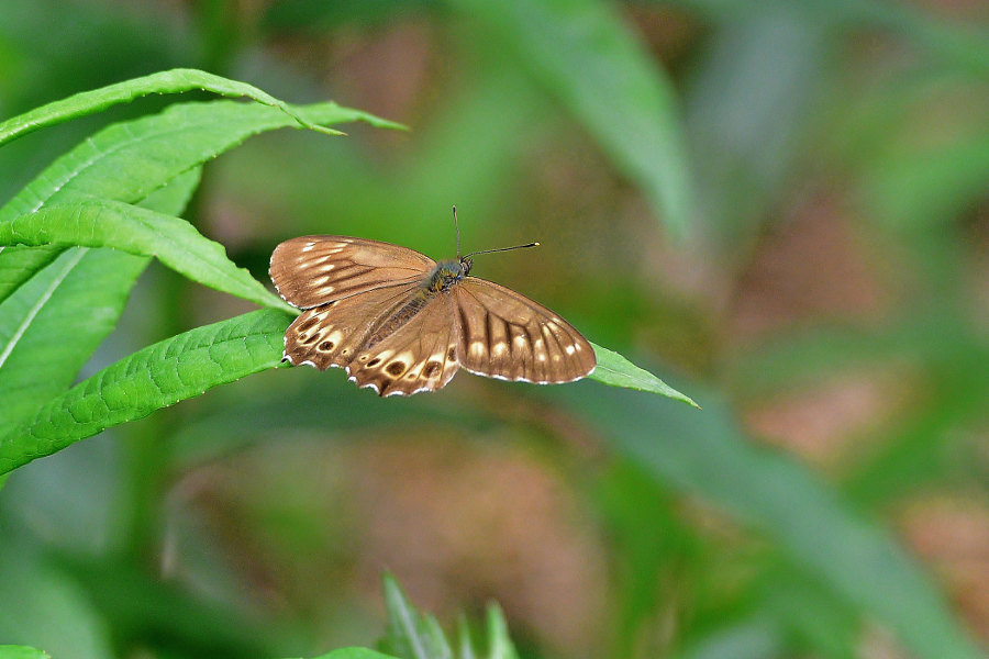 d0387460_08550727.jpg