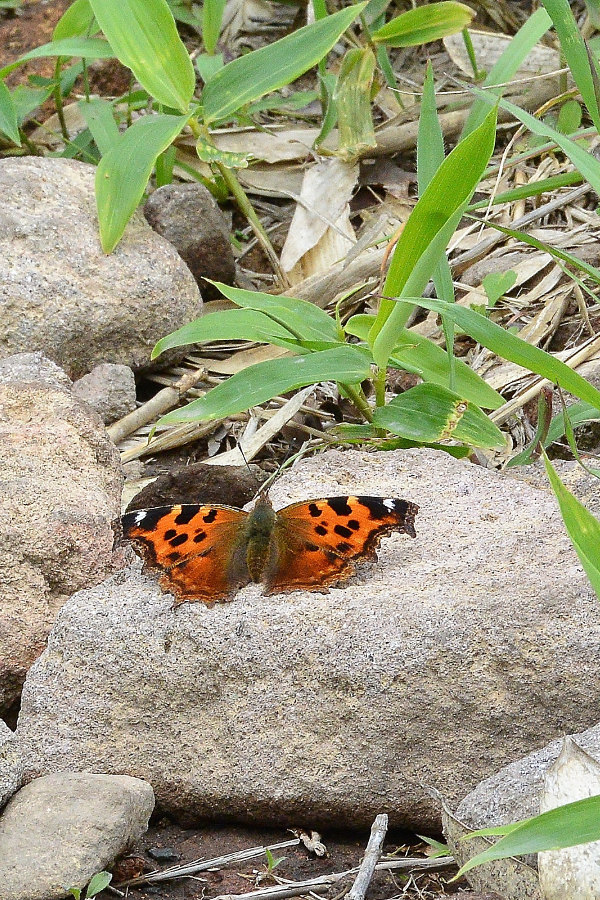d0387460_08583191.jpg