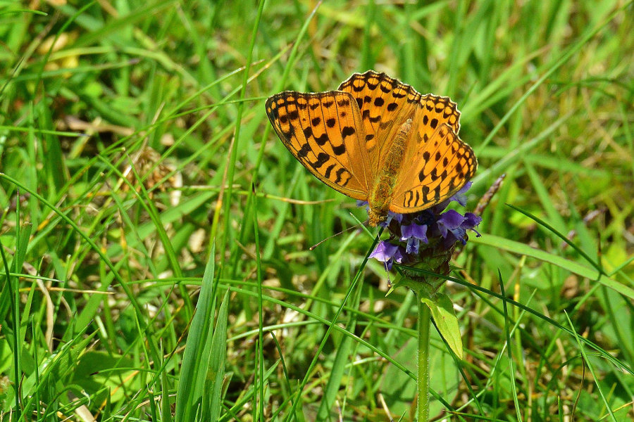 d0387460_08594691.jpg