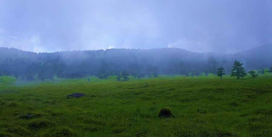 d0387460_17093573.jpg