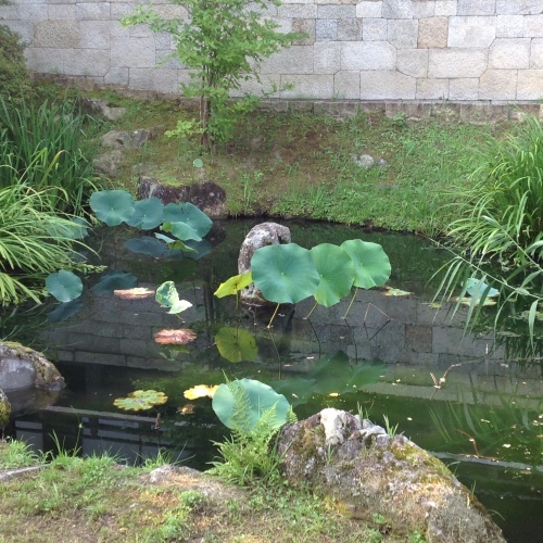 京都 夏 暁天講座 智積院_b0153663_15582491.jpeg