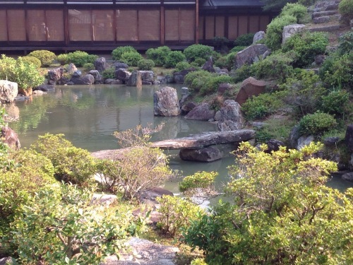 京都 夏 暁天講座 智積院_b0153663_16272273.jpeg