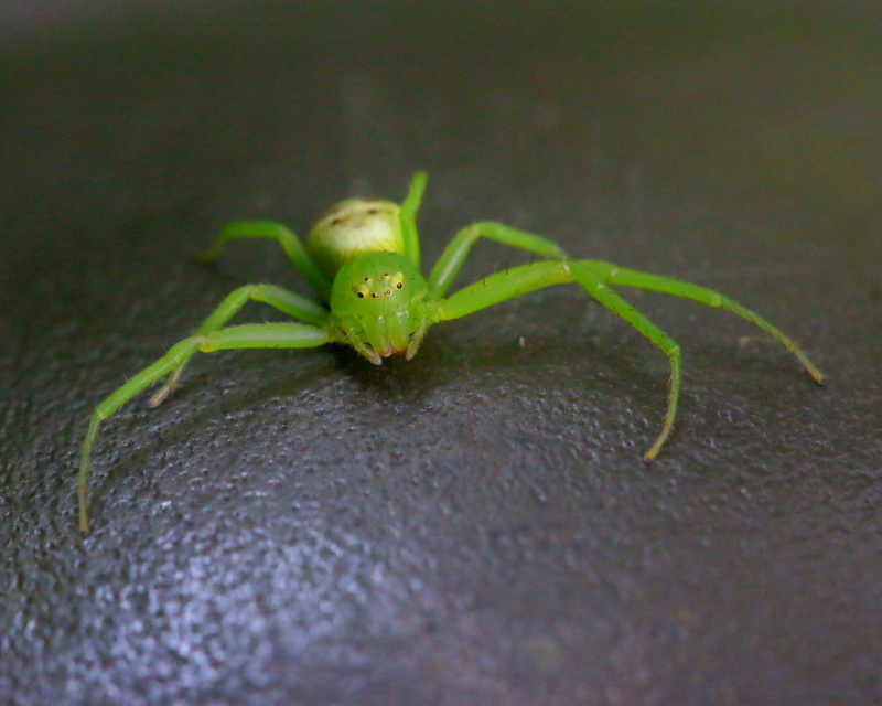 c0305565_17381840.jpg
