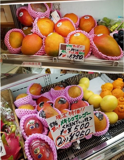 旬の果物_b0181172_10581864.jpg