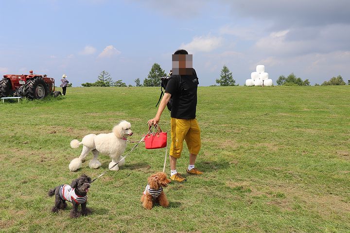 ④牧場ならでは、だね。_b0111376_14364488.jpg