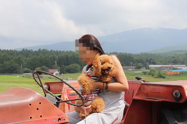 ④牧場ならでは、だね。_b0111376_14421593.jpg