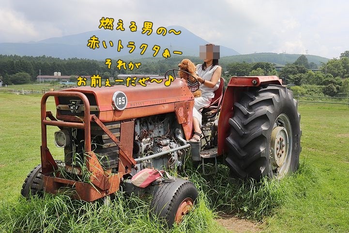④牧場ならでは、だね。_b0111376_14422332.jpg