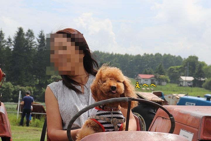 ④牧場ならでは、だね。_b0111376_14432680.jpg
