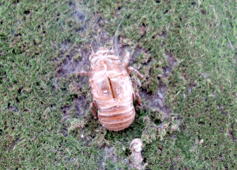 b0057679_09134298.jpg