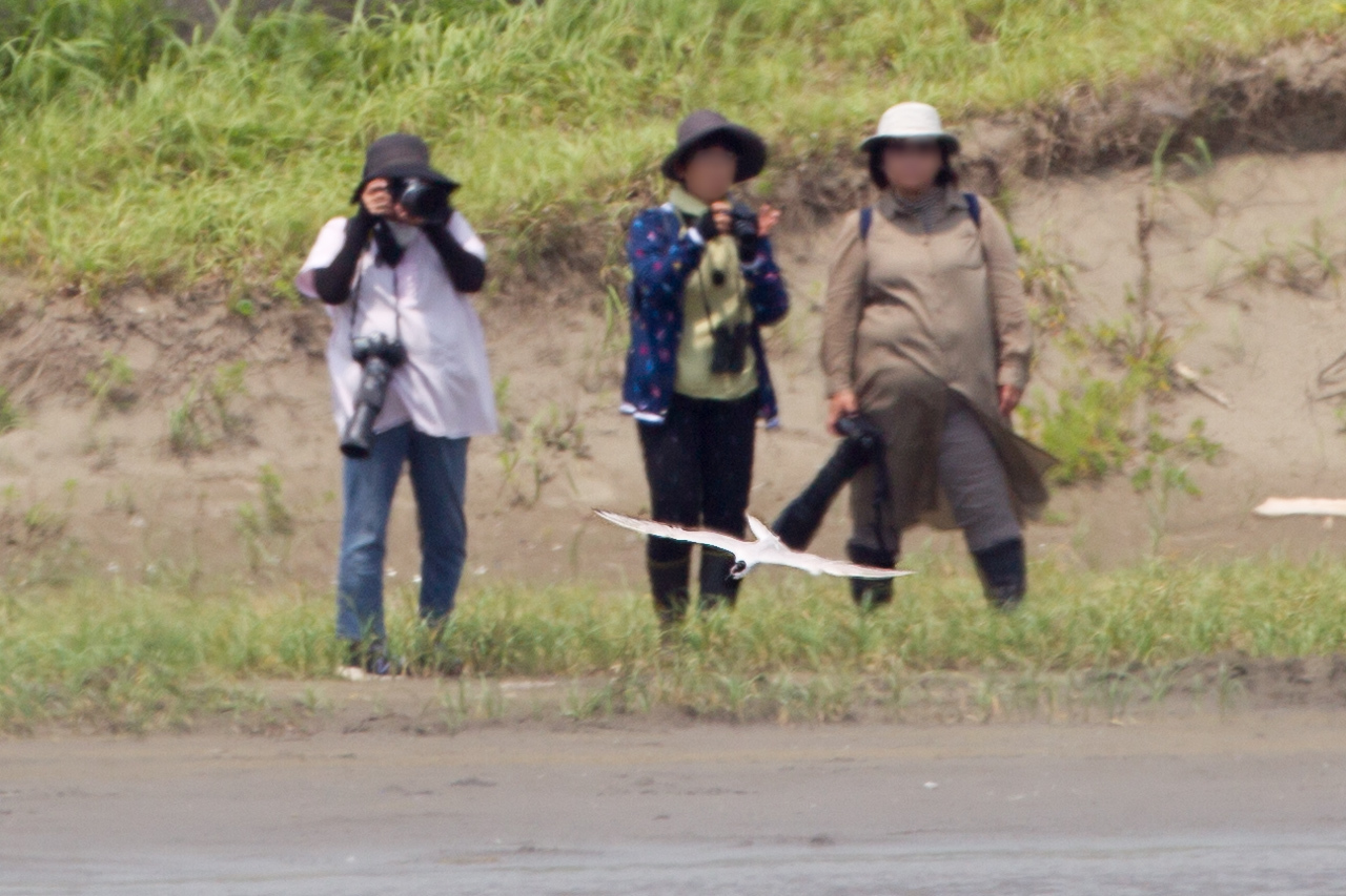 a0052080_17214244.jpg