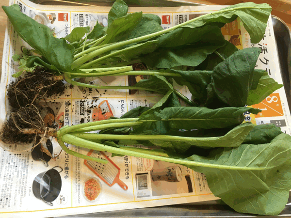 8/1の給食_c0293682_17075130.gif