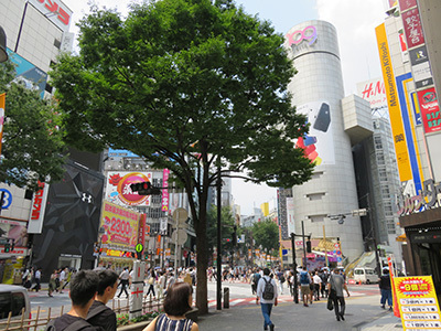 b0056983_13012416.jpg