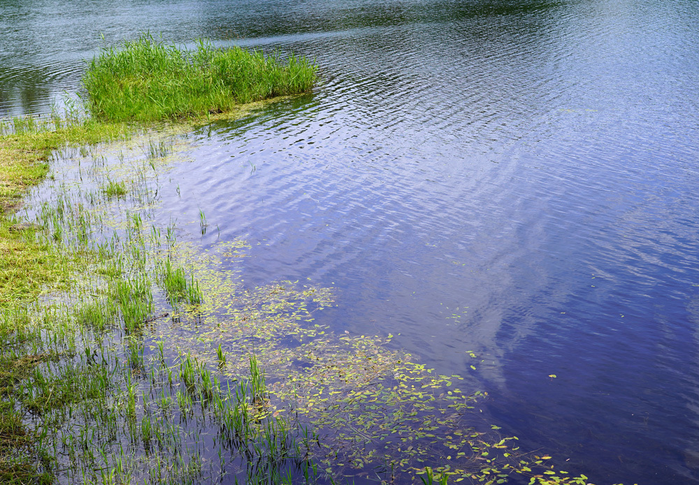 c0229384_18142699.jpg