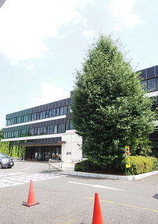 c0039501_18161137.jpg