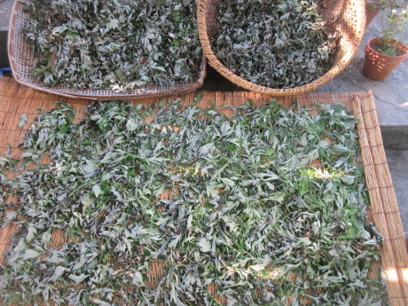 a0203003_17584579.jpg