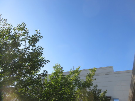 a0203003_17594474.jpg