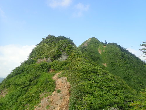 d0342206_20313113.jpg