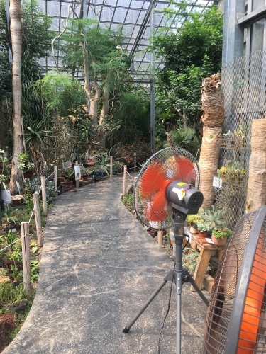 d0179410_15022208.jpeg
