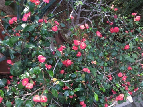 d0179410_23004609.jpeg