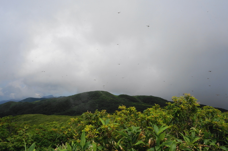 d0359010_00450371.jpg
