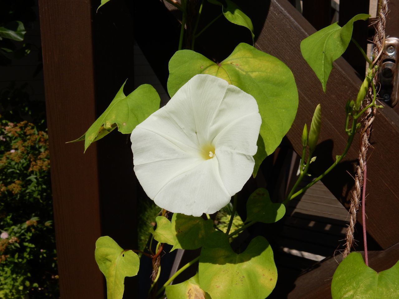 c0025115_23013514.jpg