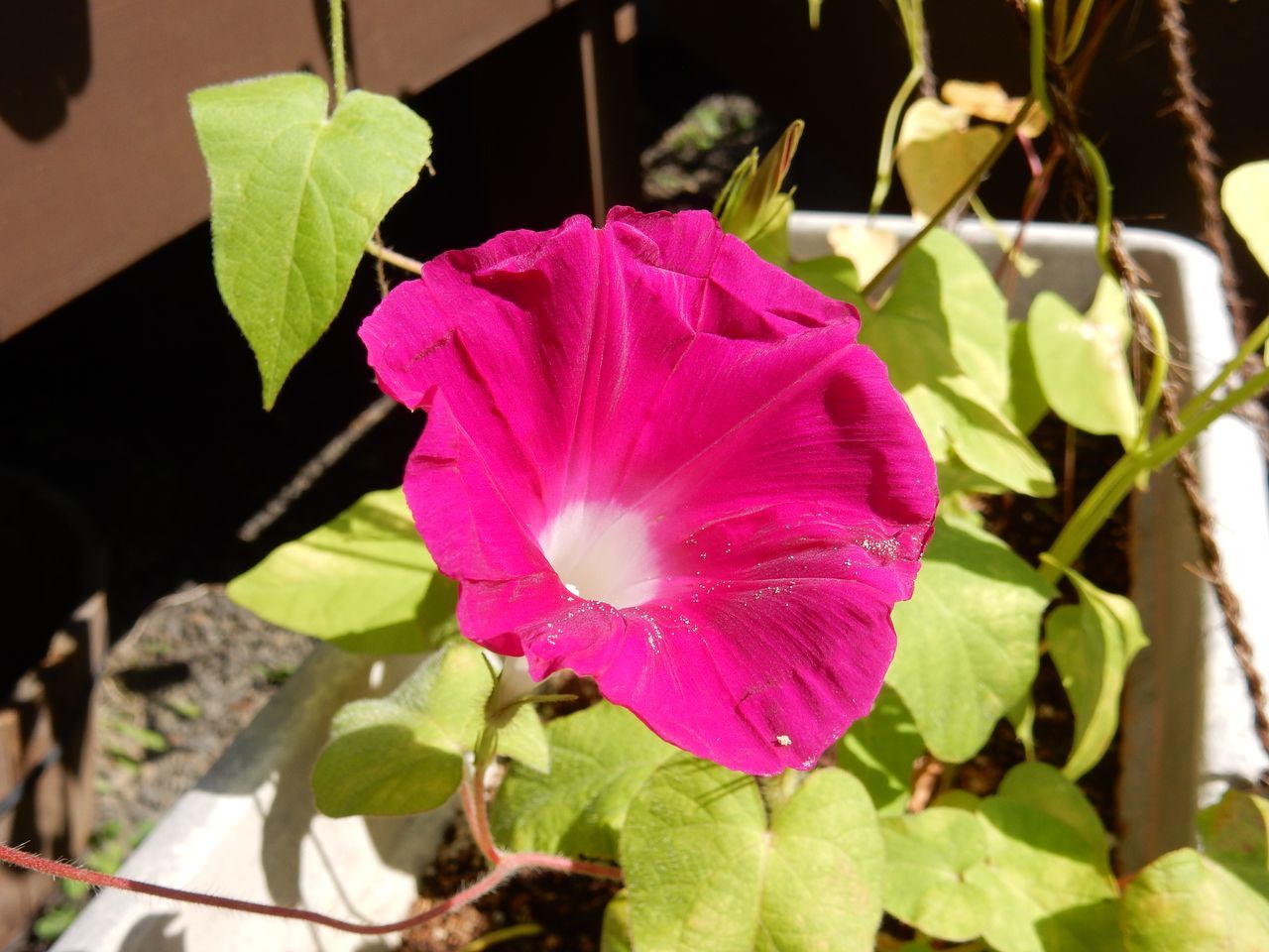 c0025115_23013981.jpg