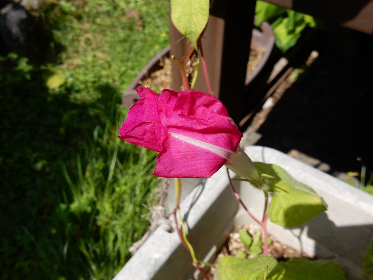 c0025115_23052587.jpg