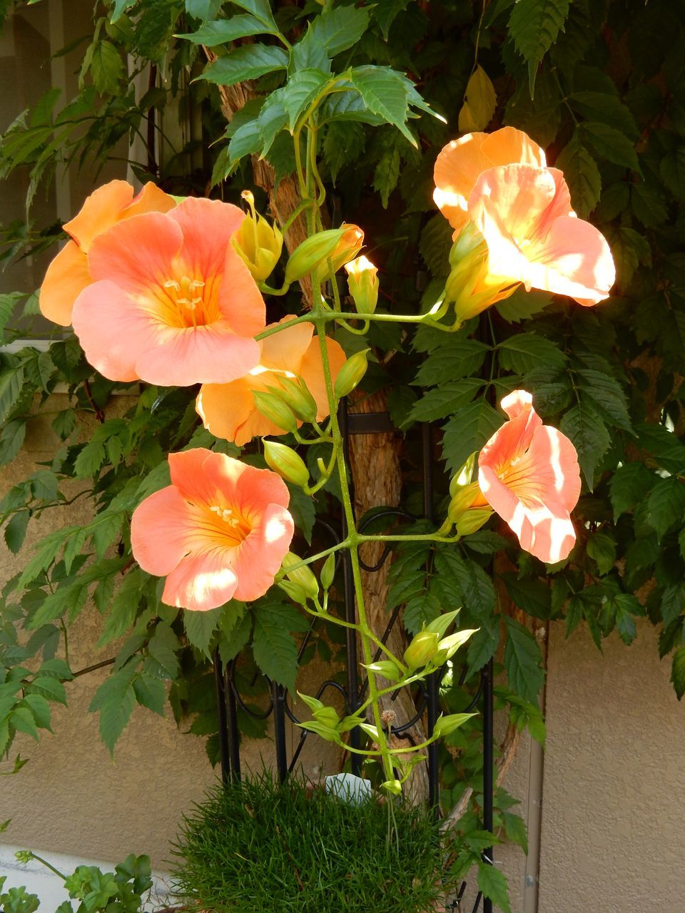 c0025115_23075664.jpg