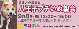 8/20引き出し編・レポート紹介　全　３4頭_f0078320_14593240.jpg