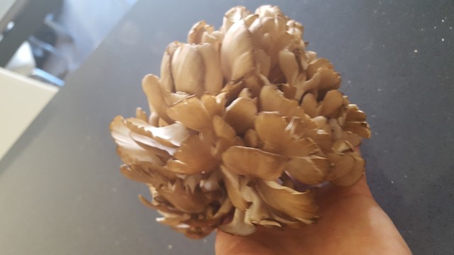 b0221428_05080603.jpg