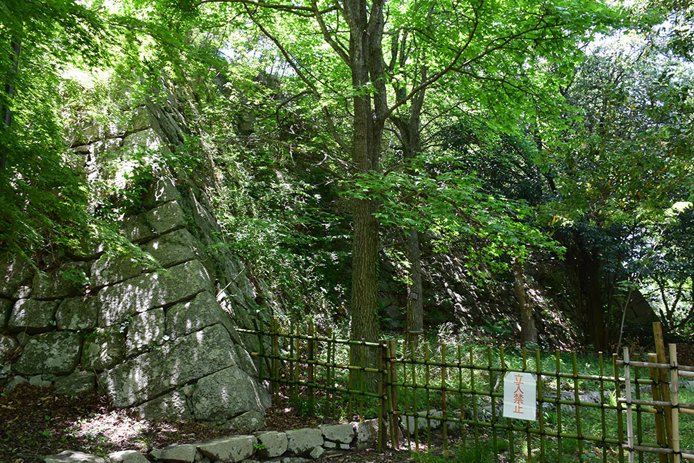 e0158128_14011811.jpg