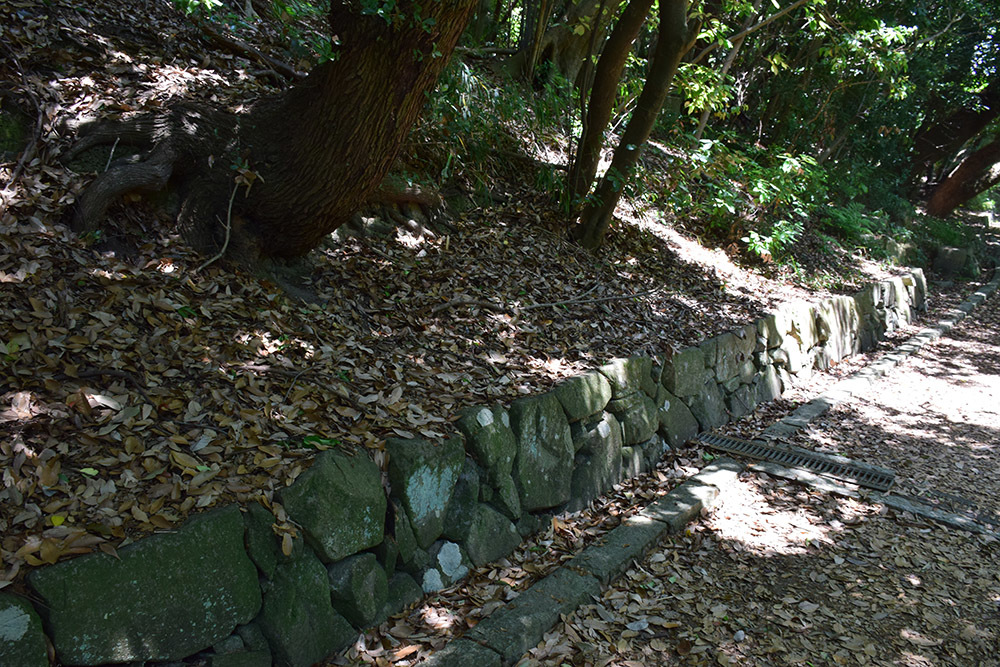 e0158128_14064611.jpg