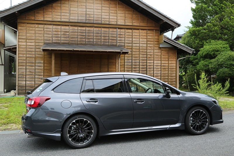 ブルーベリーと新型レヴォーグSTI SPORT_f0076731_18334539.jpg