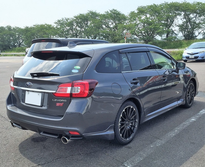 ブルーベリーと新型レヴォーグSTI SPORT_f0076731_18343613.jpg