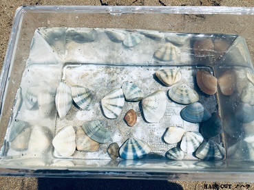 能登での海水浴_e0145332_10423705.jpg