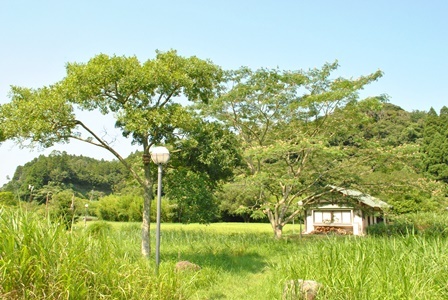 a0123836_16005978.jpg