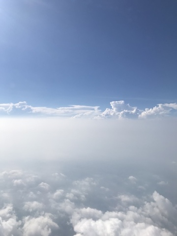 a0317236_07372529.jpeg