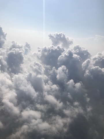 a0317236_07373739.jpeg