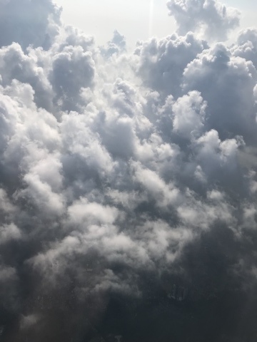 a0317236_07380583.jpeg