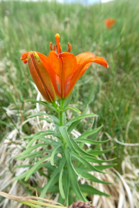 f0234936_205560.jpg