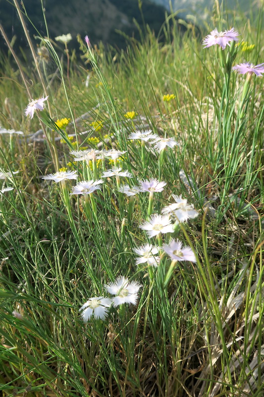 f0234936_2101189.jpg