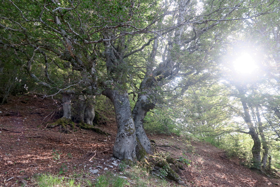 f0234936_716491.jpg