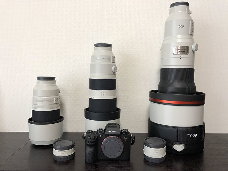 ソニー アルファで野鳥撮影:Sony α9 と『FE 200-600mm F5.6-6.3 G OSS』, 『FE 600mm F4 GM OSS』_d0360547_17201073.jpg