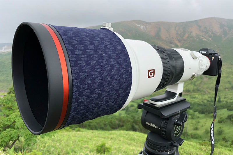 ソニー アルファで野鳥撮影:Sony α9 と『FE 200-600mm F5.6-6.3 G OSS』, 『FE 600mm F4 GM OSS』_d0360547_17241767.jpg