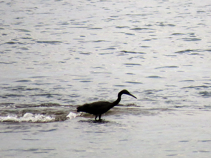 f0214649_03255180.jpg